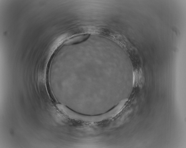 X0000111430195200907131230