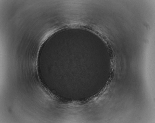 X0000111430196200907131230