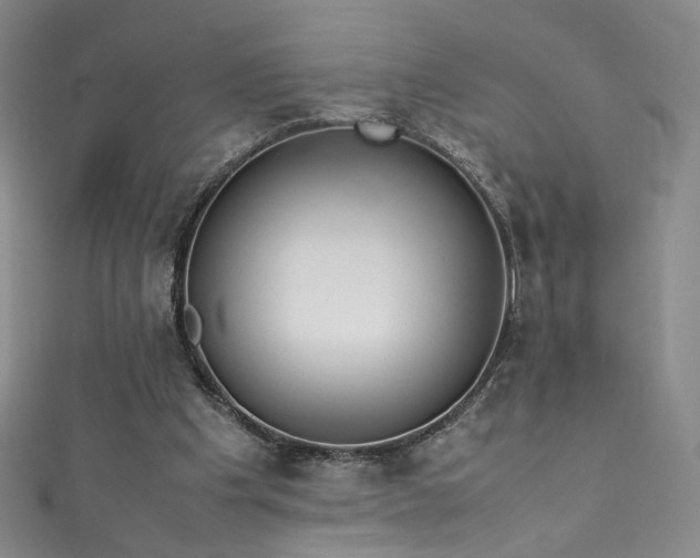 X0000111430201200907131230