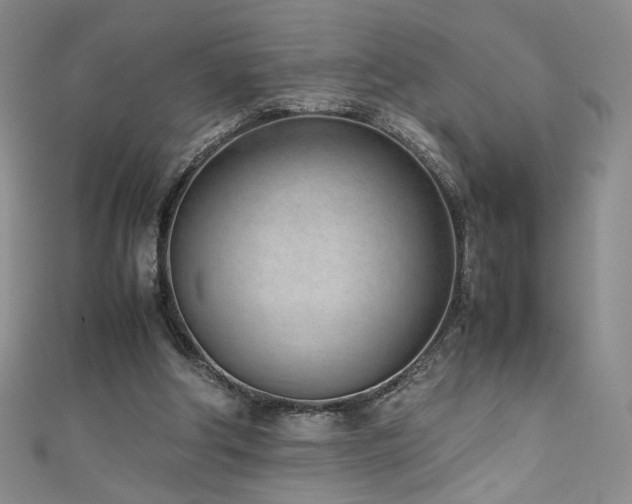 X0000111430202200907131230