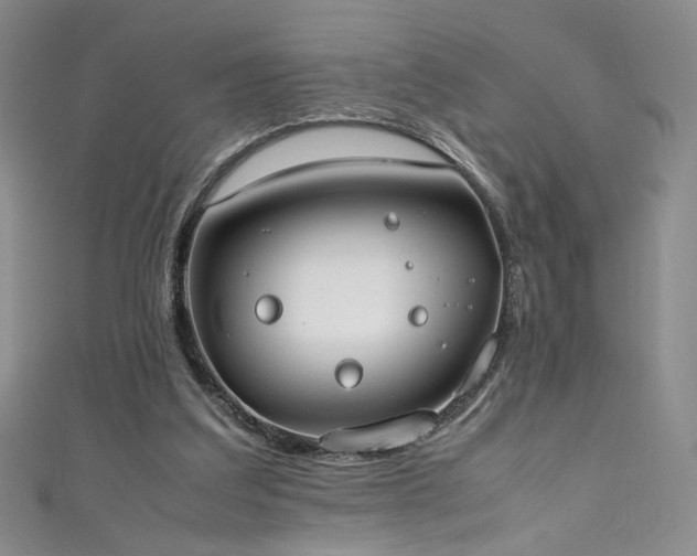 X0000111430203200907131230