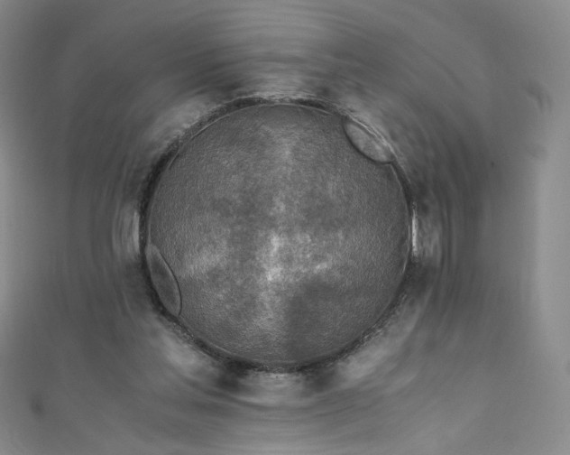 X0000111430205200907131230