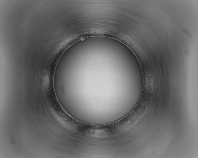 X0000111430208200907131230