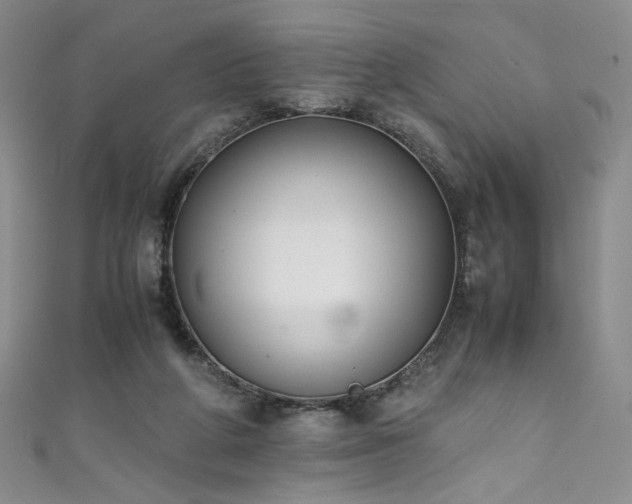 X0000111430210200907131230