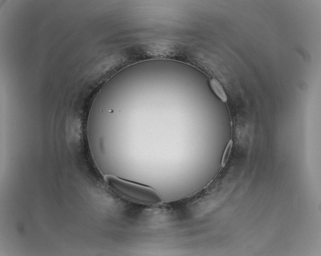 X0000111430211200907131230