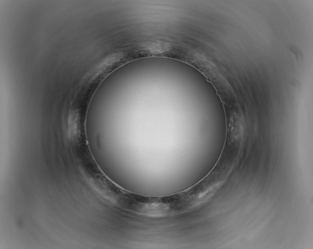 X0000111430212200907131230