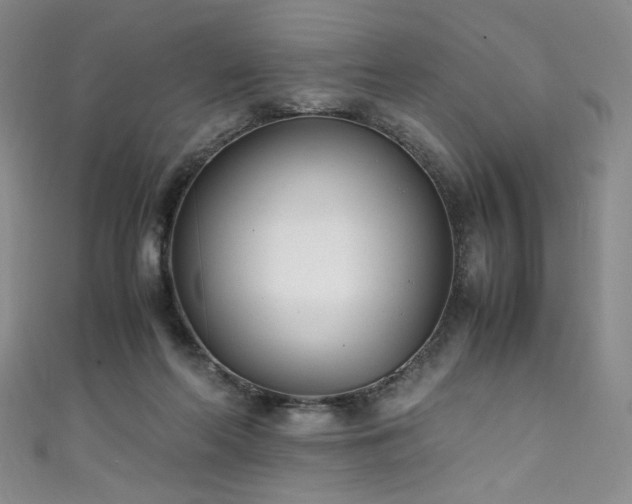 X0000111430214200907131230