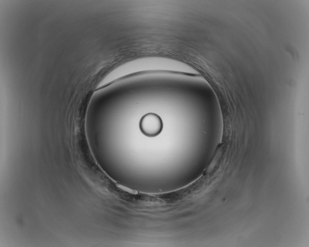 X0000111430215200907131230