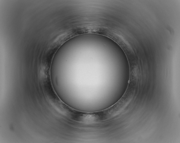 X0000111430218200907131230