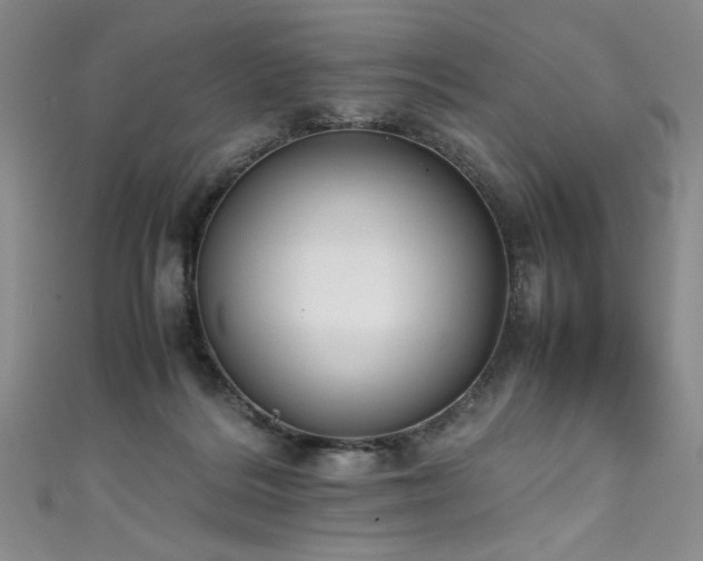 X0000111430220200907131230