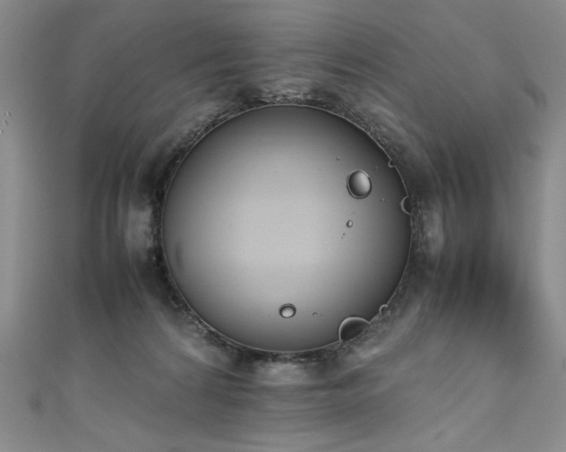 X0000111430224200907131230