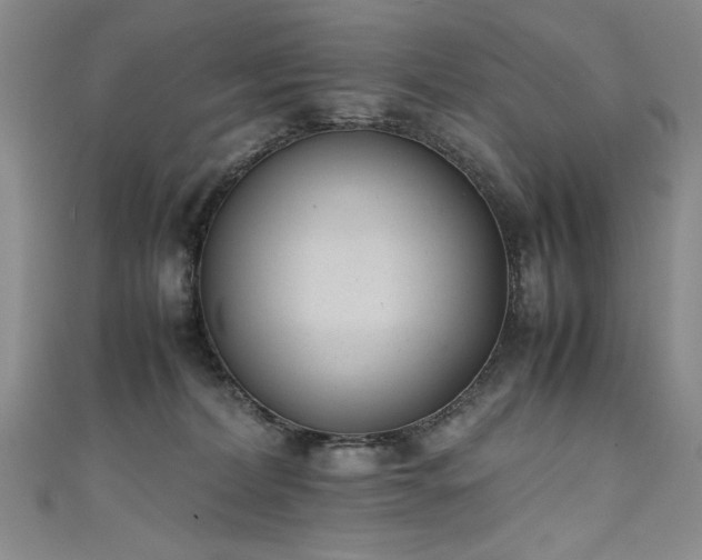 X0000111430228200907131230