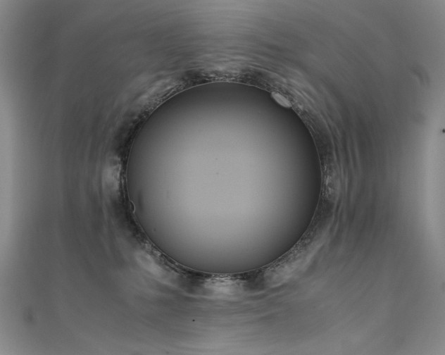 X0000111430231200907131230