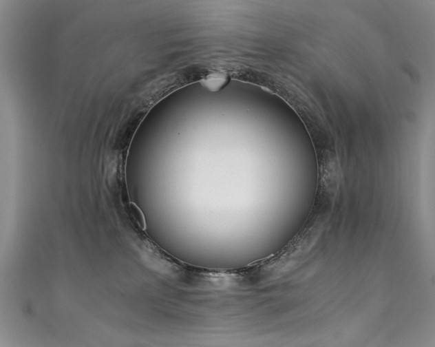 X0000111430233200907131230