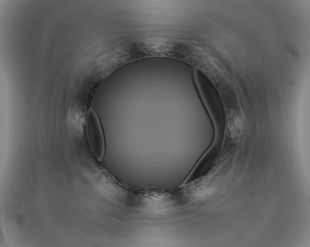 X0000111430235200907131230