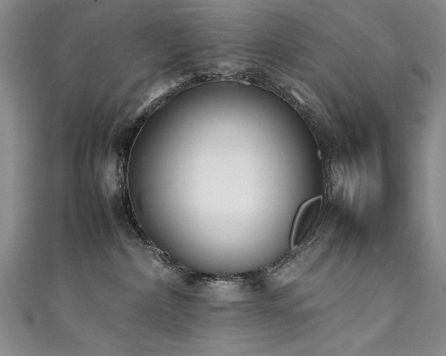 X0000111430236200907131230