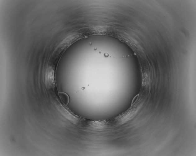 X0000111430238200907131229