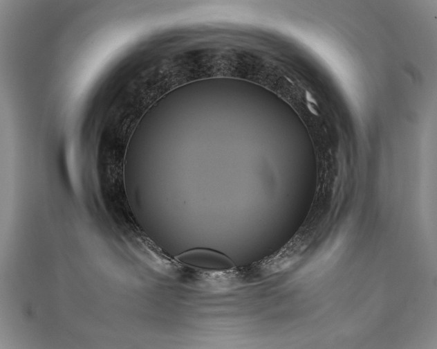 X0000111430239200907131229