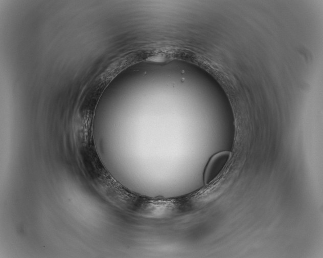 X0000111430240200907131229