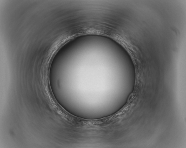 X0000111430241200907131229