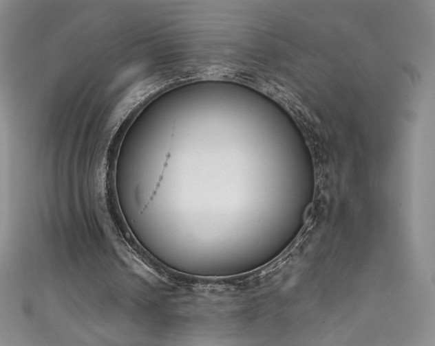 X0000111430242200907131229