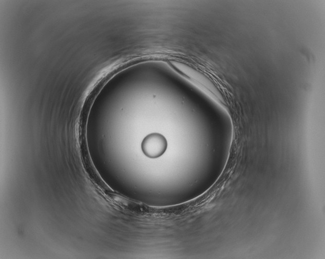 X0000111430244200907131229