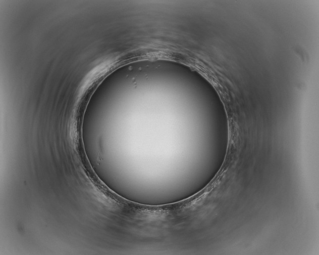 X0000111430245200907131229