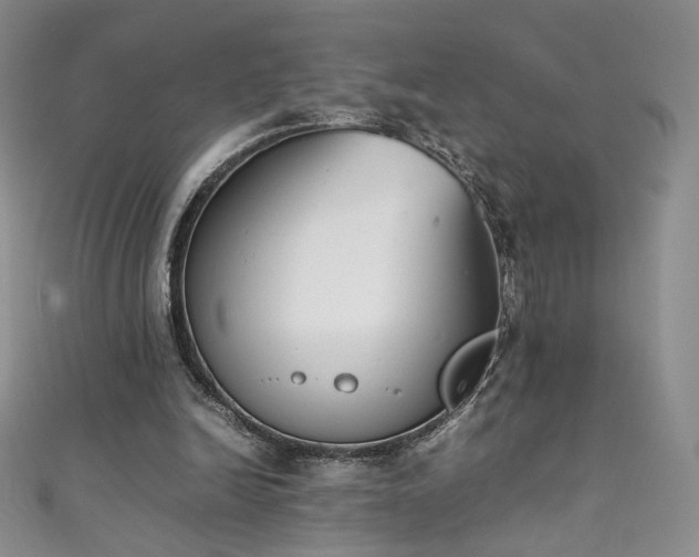 X0000111430246200907131229