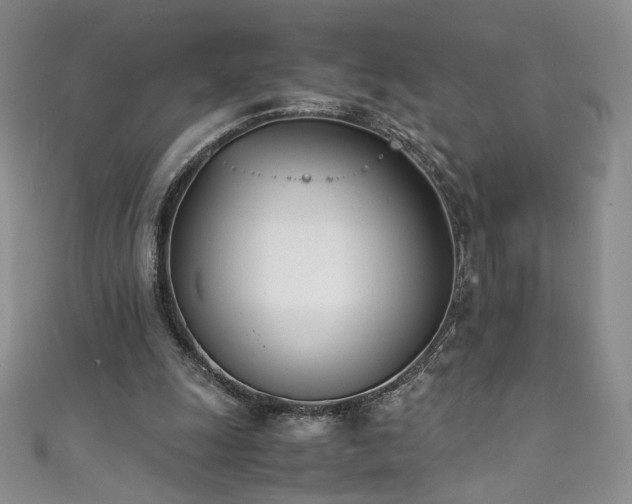 X0000111430247200907131229