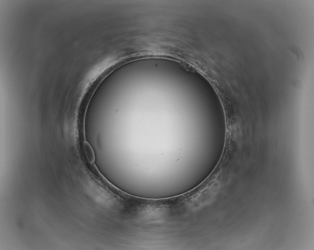 X0000111430248200907131229