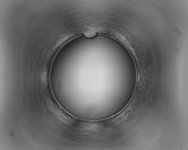 X0000111430249200907131229