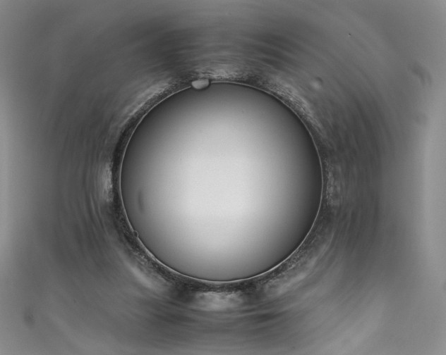 X0000111430251200907131229