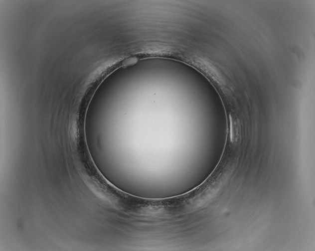 X0000111430252200907131229