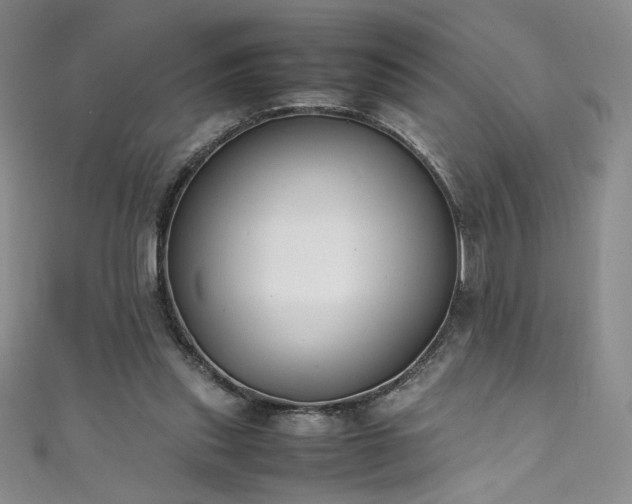 X0000111430253200907131229