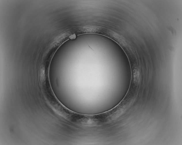 X0000111430254200907131229