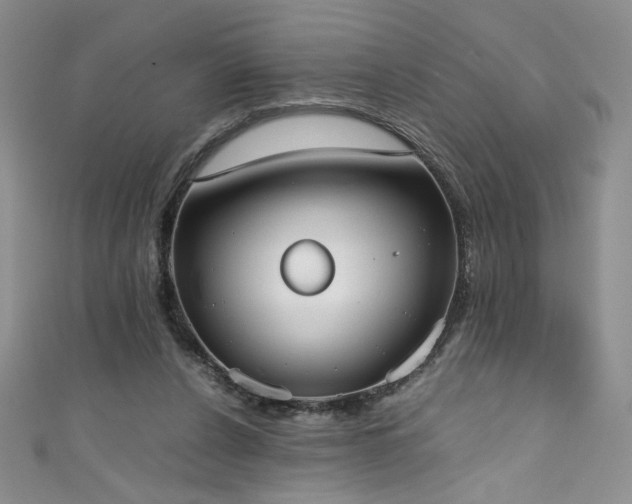 X0000111430256200907131229