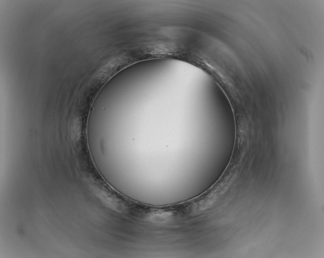 X0000111430257200907131229