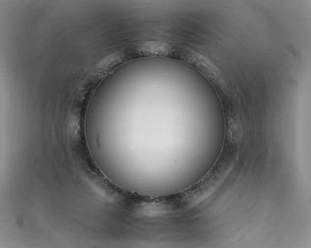 X0000111430259200907131229