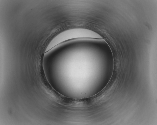 X0000111430260200907131229