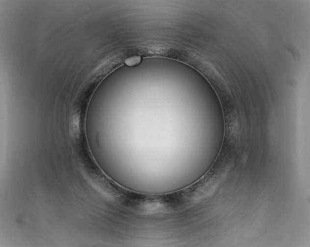 X0000111430262200907131229