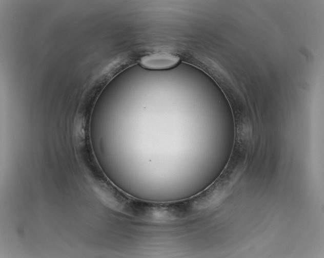 X0000111430264200907131229