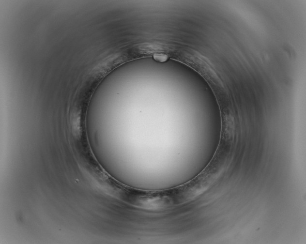 X0000111430267200907131229