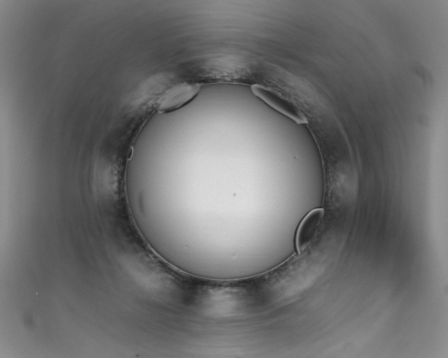 X0000111430268200907131229