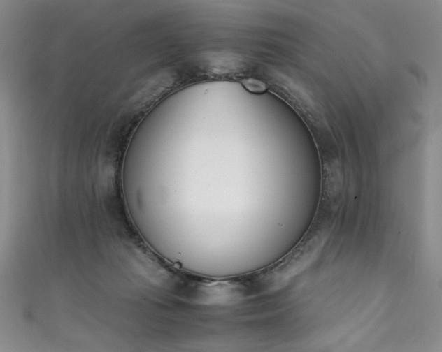 X0000111430269200907131229