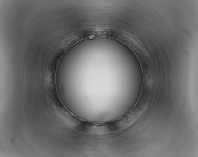 X0000111430270200907131229