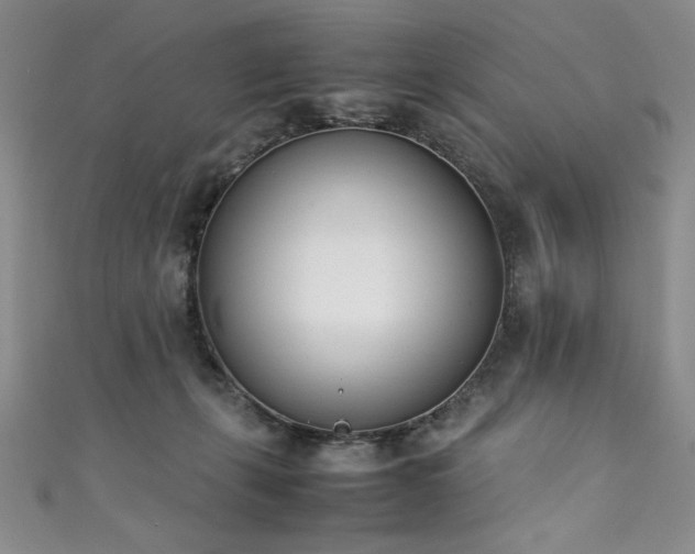 X0000111430271200907131229