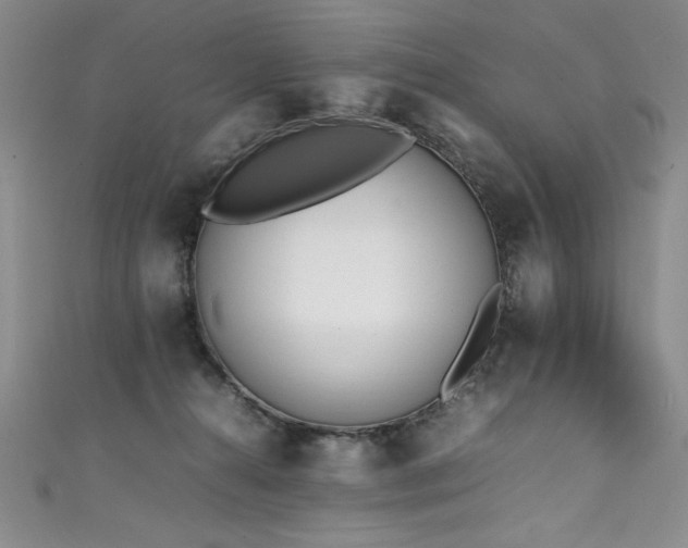 X0000111430272200907131229