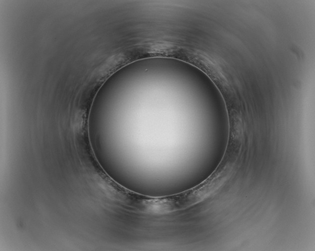 X0000111430273200907131229