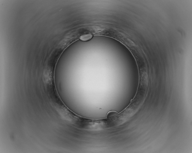 X0000111430274200907131229