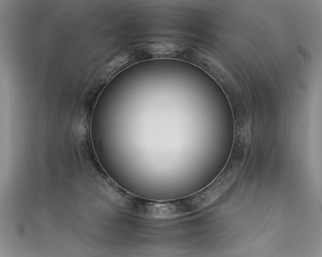 X0000111430277200907131229